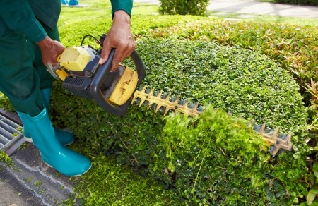 empresa jardinería jerez